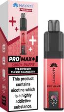 Hayati Pro Max 6000+ Prefilled Pod Kit